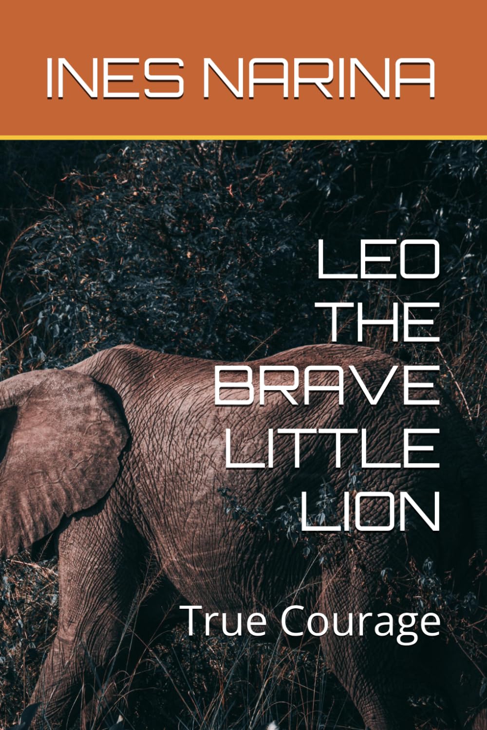 LEO THE BRAVE LITTLE LION: True Courage