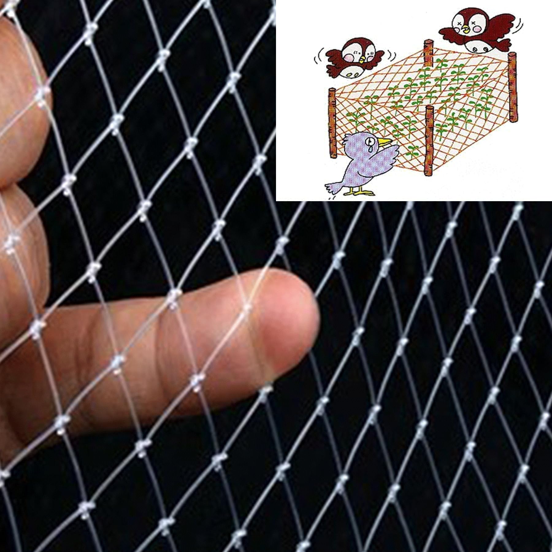 Rete Anti Uccelli, Piccole Rete per Uccelli in Nylon da Giardino(5 * 30m)