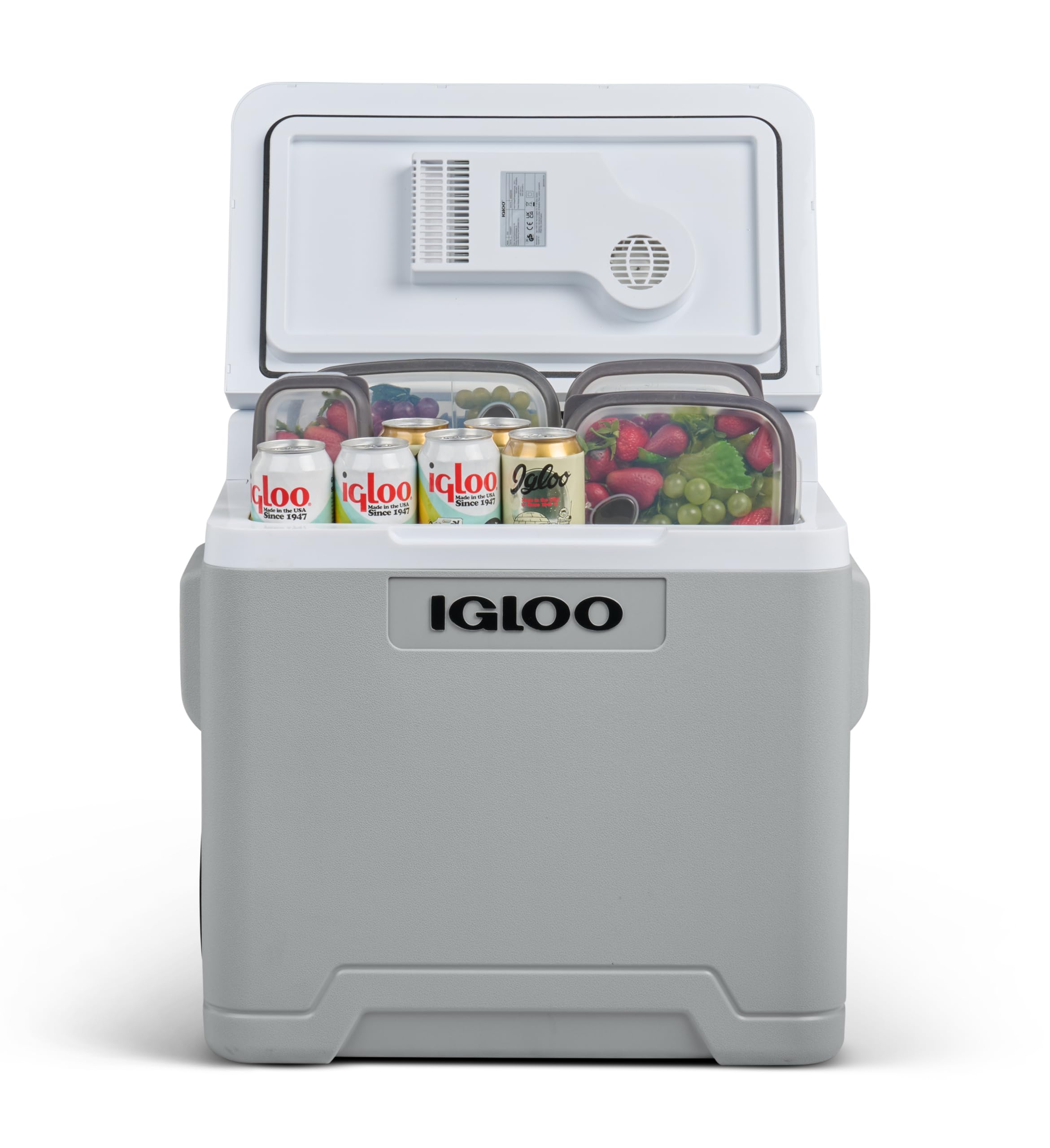 IGLOO IE42 Frigo Elettrico 12V 230V 42L Mini Frigorifero Compatto per Auto Campeggio
