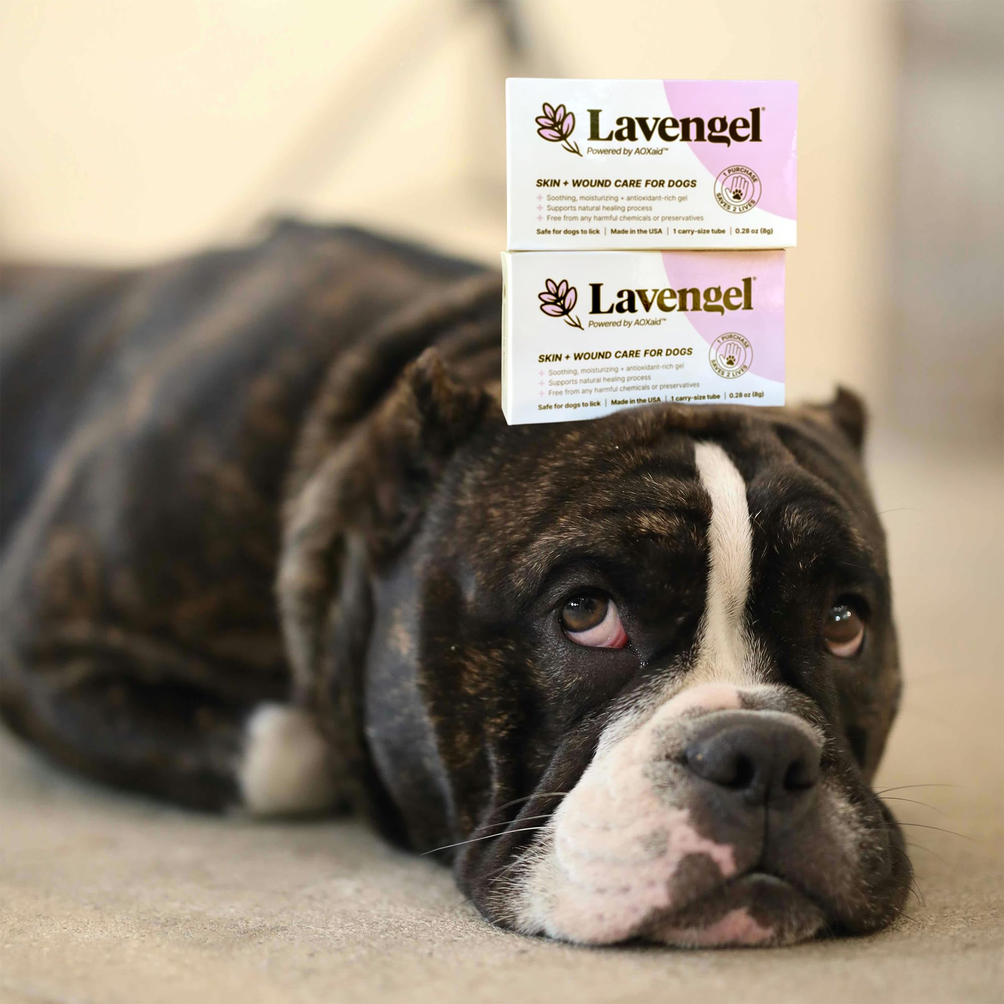 Lavengel for Dogs - Reduces Skin Irritations and Itching - Effective Wound Care and Hot Spot Treatment