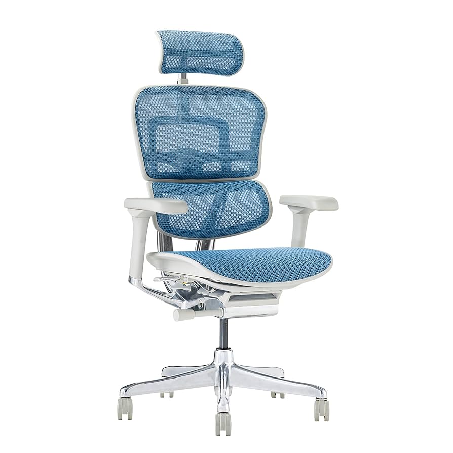 Ergohuman オフィスチェア ヘッドレスト付き 椅子 W009 Ergohuman エルゴヒューマン pro2 ハイタイプ ヘッドレスト付き