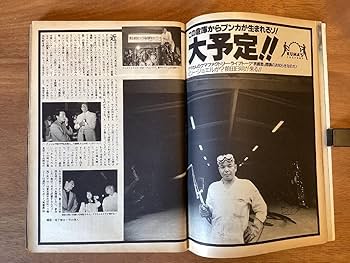 【週刊プレーボーイ】 雑誌 「週刊プレイボーイ」1995年7月11日号 - メルカリ