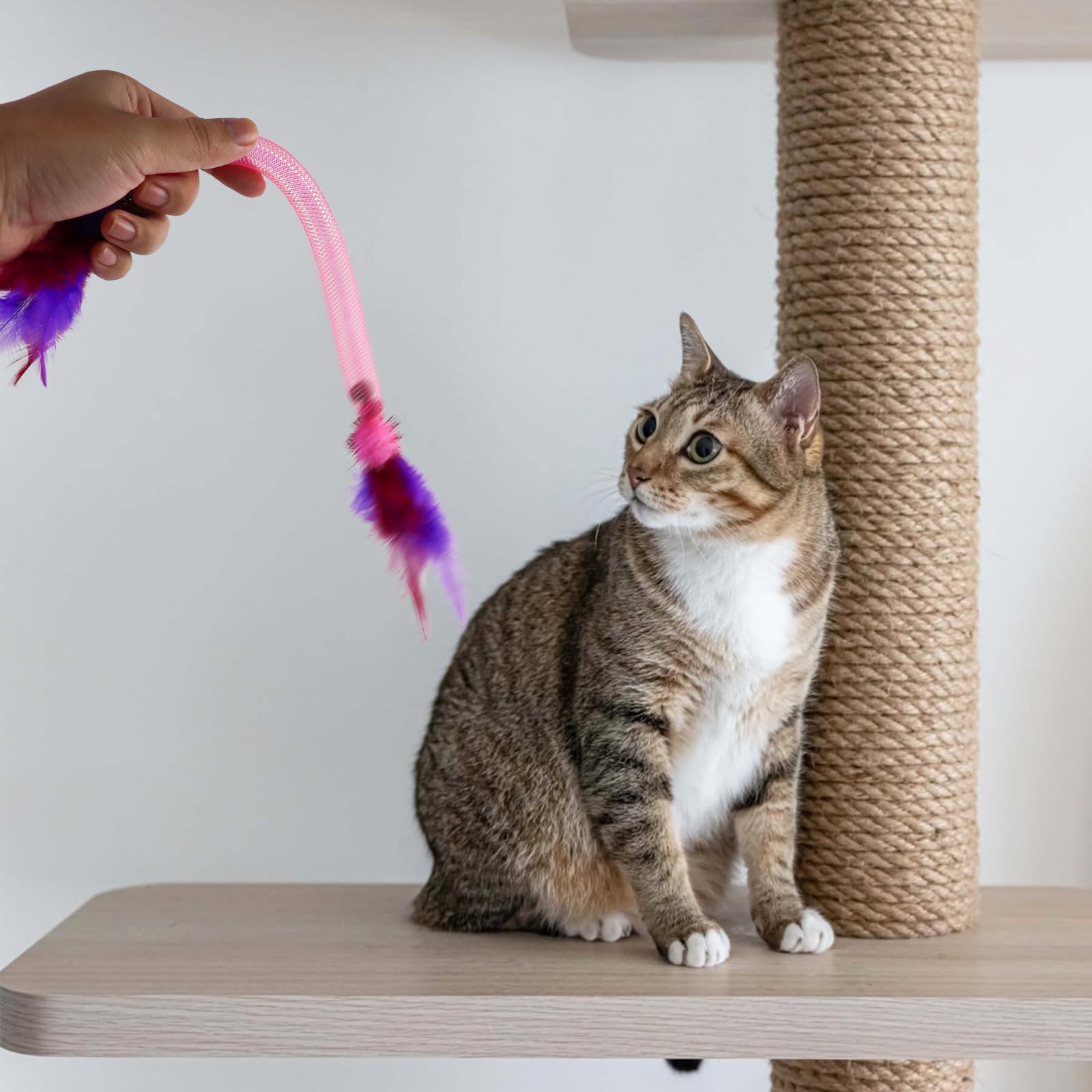 LuckyOpt Cat Toys, 3pcs Cat Feather Toy with Bell and Catnip Ball - Image 4