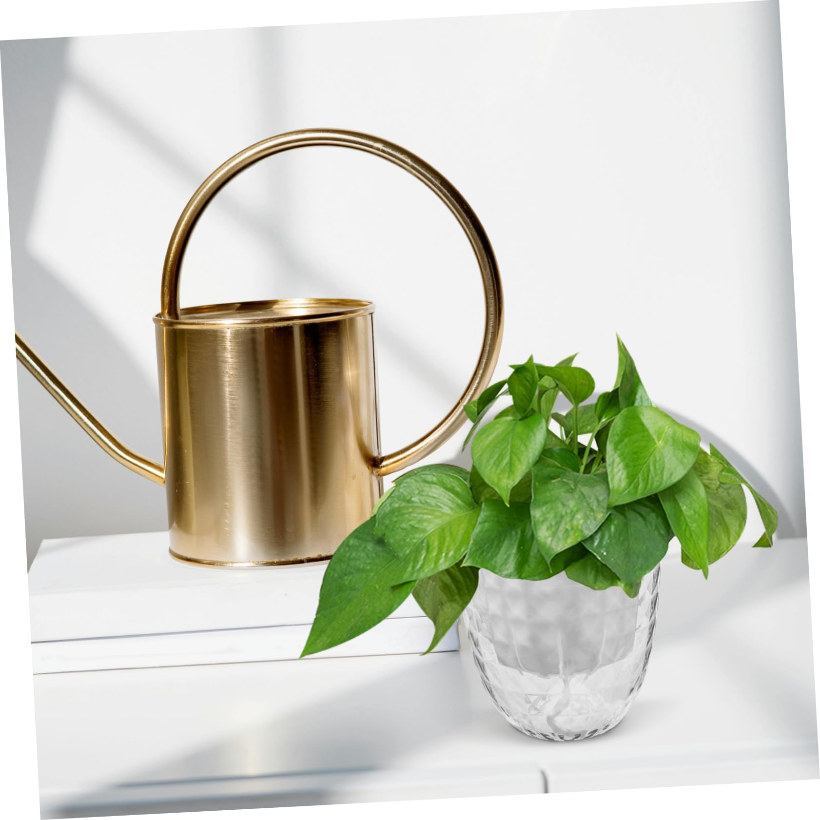 Plateau Auto-Aspirant 3 Pièces Pots Auto-arrosants avec Système Darrosage Automatique pour Plantes Dintérieur Nécessitant Peu Dentretien