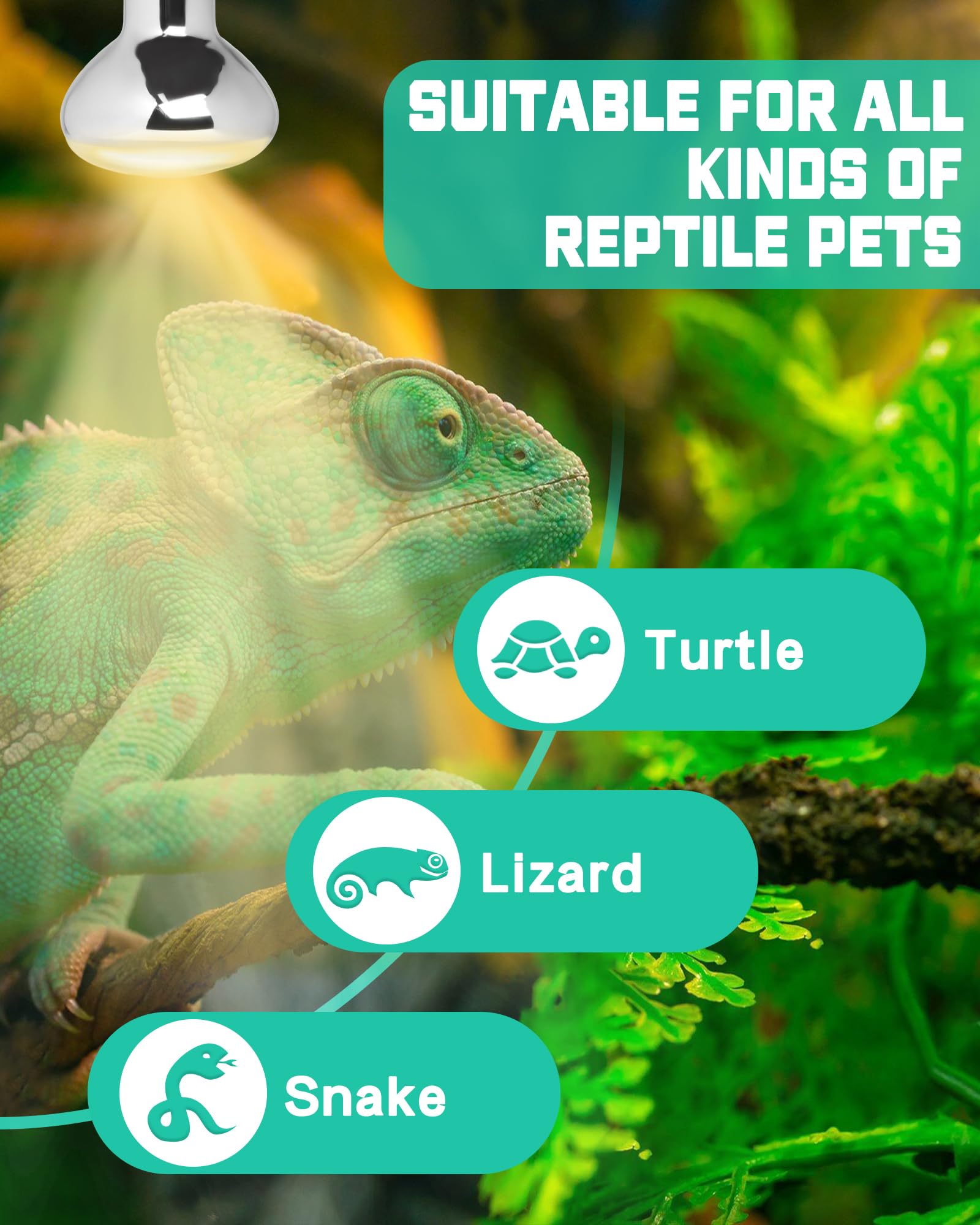 LUCKY HERP Reptile Heat Lamp Bulb - Image 3