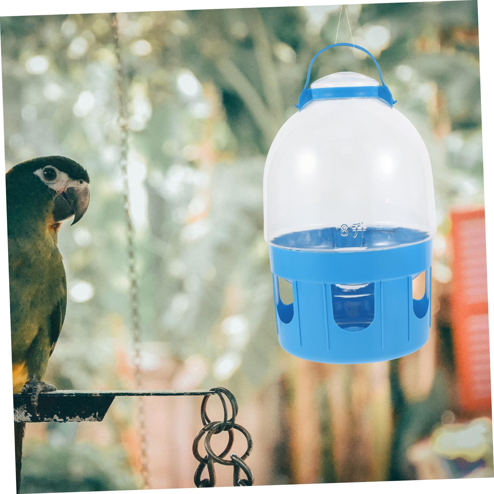 Angoily Comedero para Palomas de Gran Capacidad de Almacenamiento Apto para Familias Y con Báscula para Pájaros