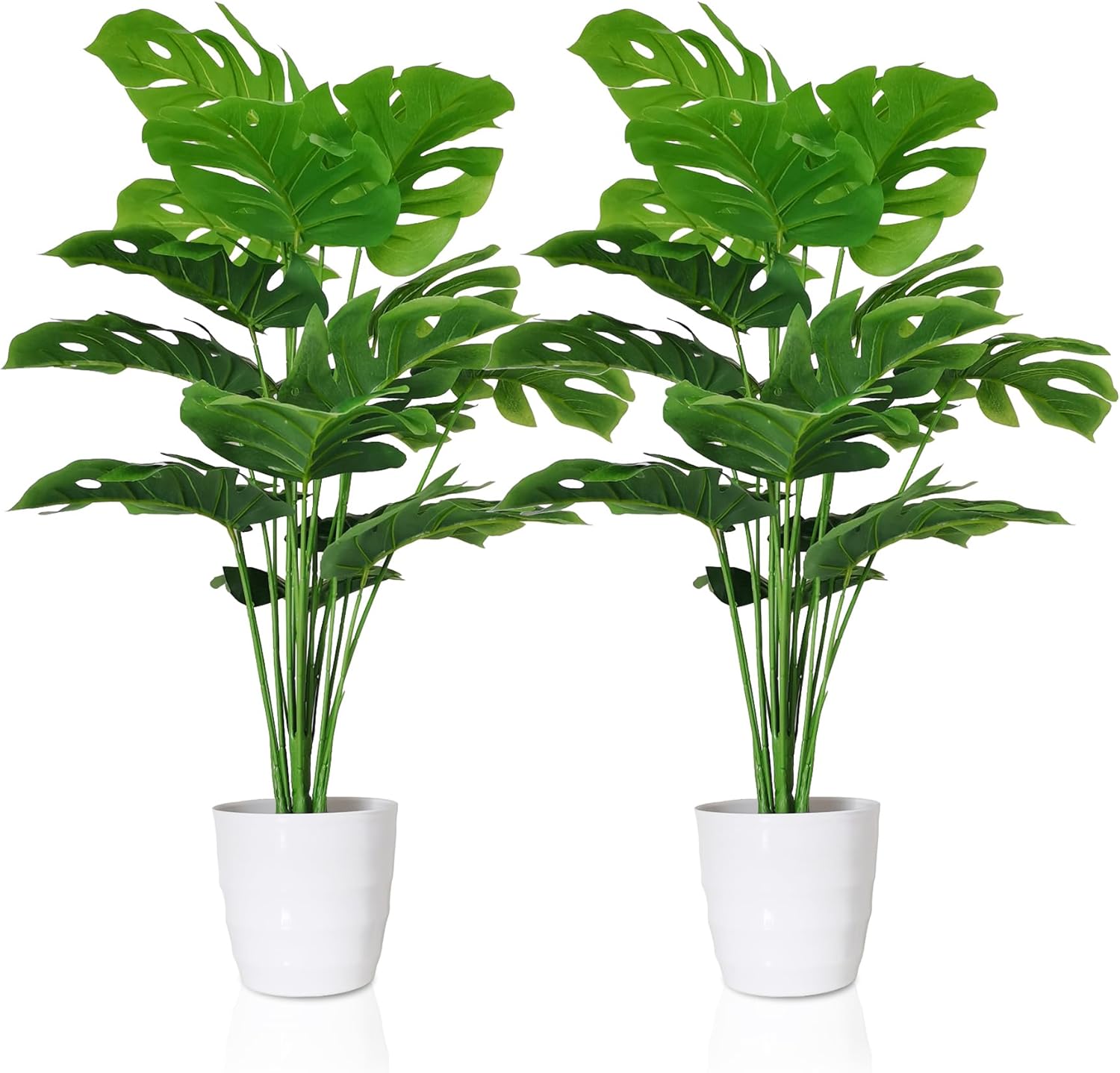 10 Top Bedroom Plants for Fresh Air and Better Sleep 15 71NgFlQpaOL. AC SL1500