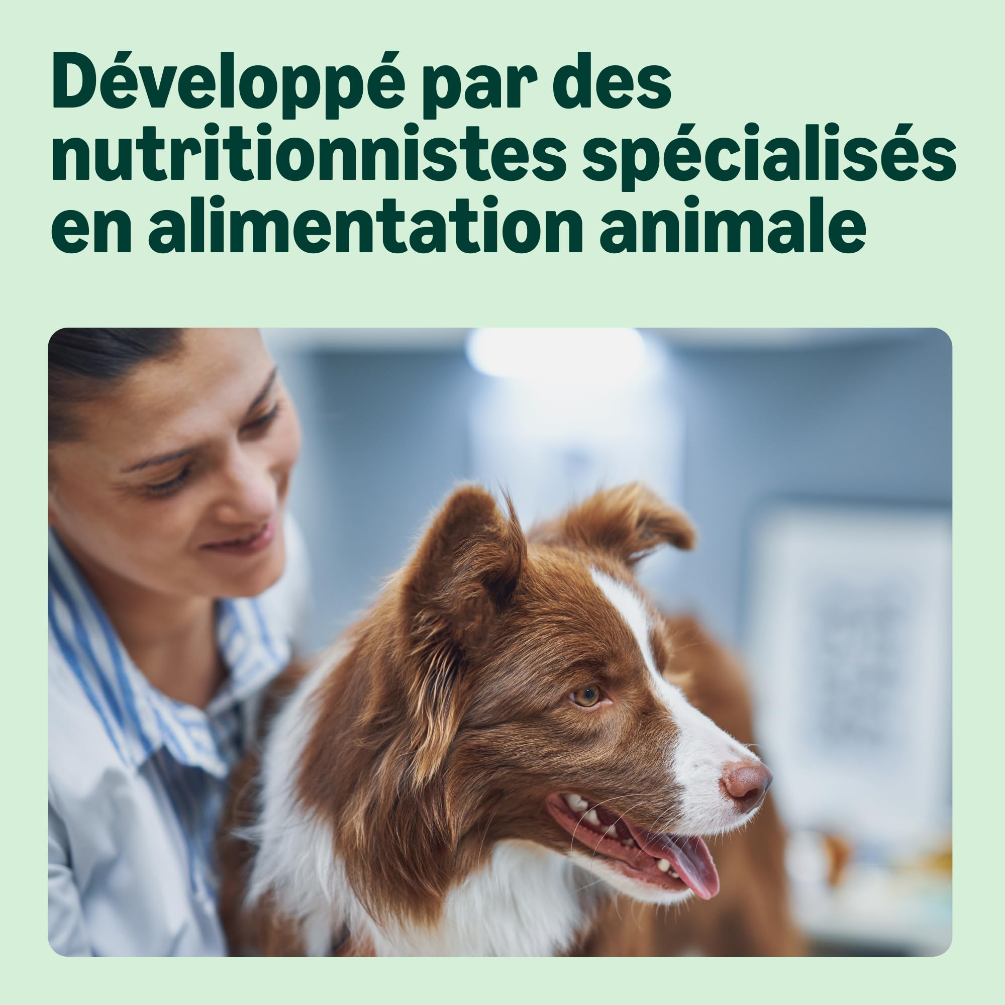 by Amazon Complete Croquettes complètes pour chiens adultes, riche en poulet et riz, 1 x 5 kg (Anciennement une marque Lifelong, même produit)