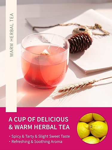 Miniatura 2 de TeeLux Té de hibisco de limón y jengibre, hierba de limón refrescante con jengibre picante, hibisco agrio, regaliz dulce, sin cafeína, 50 unidades