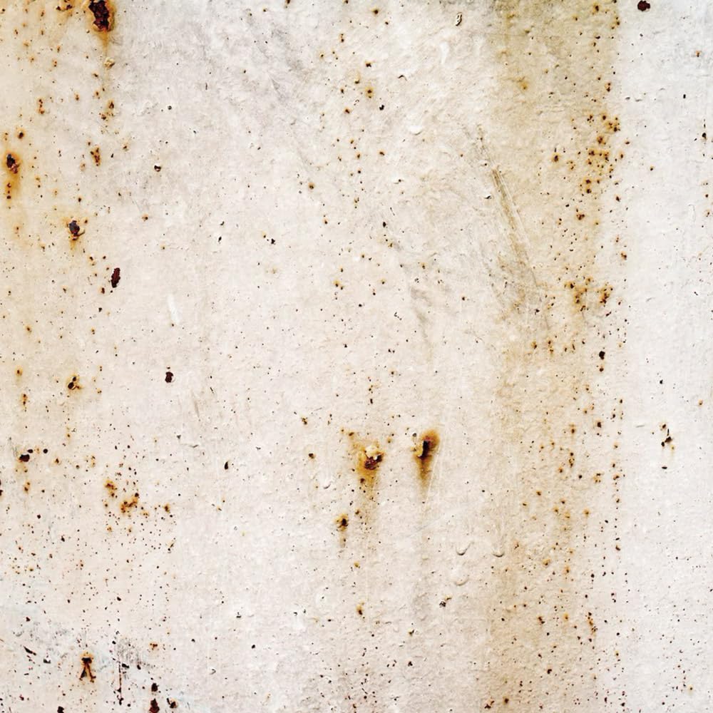 Sopgal Pintura Tixotrópica Antimanchas de bajo olor (4L, Blanco) - En base agua, tapa manchas de incendios, humos, pintadas, grafitis
