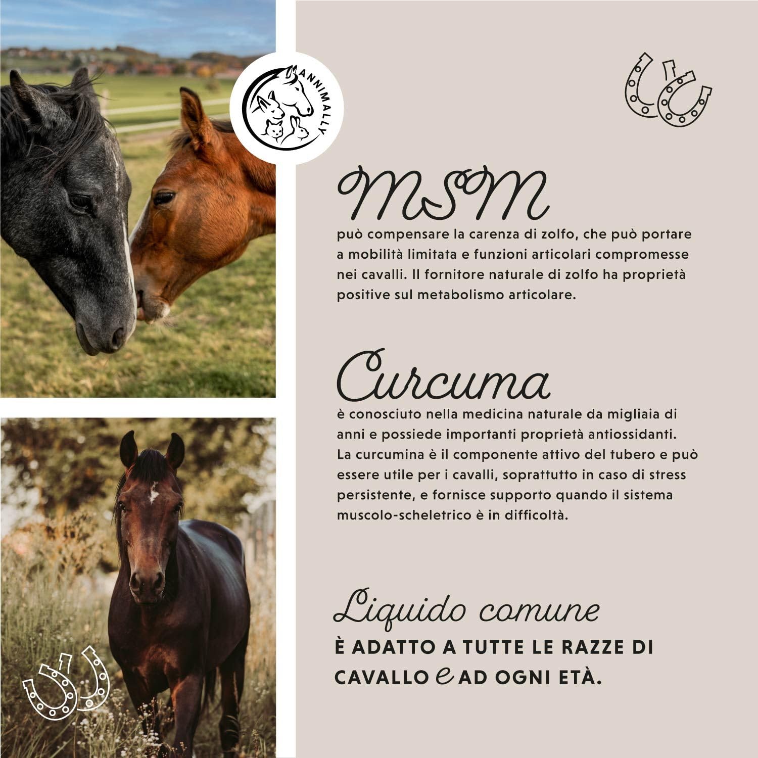 Liquido articolazioni per cavalli 1000ml con artiglio del diavolo cavallo, glucosamina e MSM cavallo (zolfo) liquido- Per il rafforzamento delle articolazioni del cavallo- msm integratore per cavalli