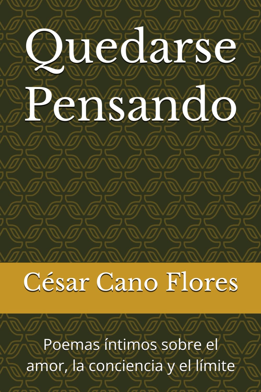 Quedarse Pensando: Poemas íntimos sobre el amor, la conciencia y el límite