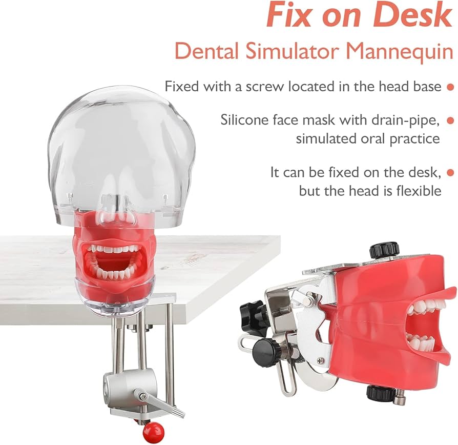 71NgRMK7X7L._AC_UF894,