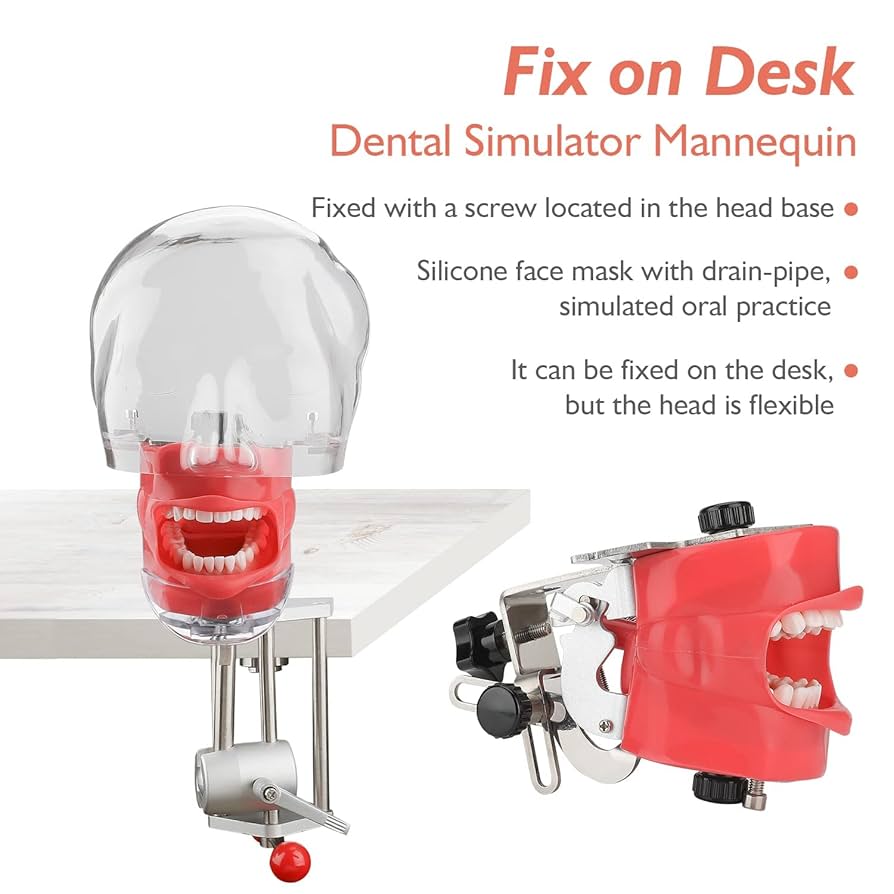 歯科　マネキン　ファントム Amazon.co.jp: 歯科用ファントムヘッドモデル、歯科用