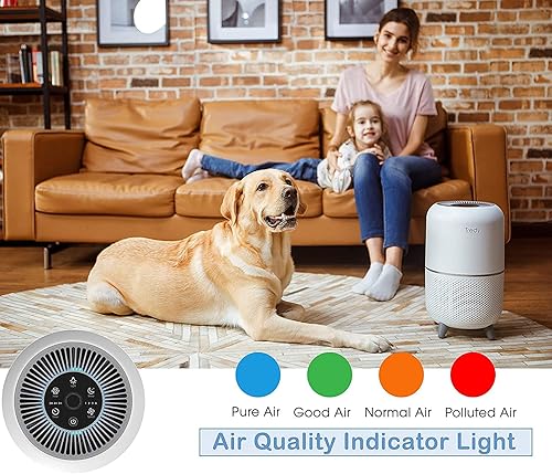 Miniatura 5 de Hepa Purificador de aire para el hogar, habitación grande de 200 pies cuadrados, con sensor de calidad del aire, filtra el aire, elimina alergias,