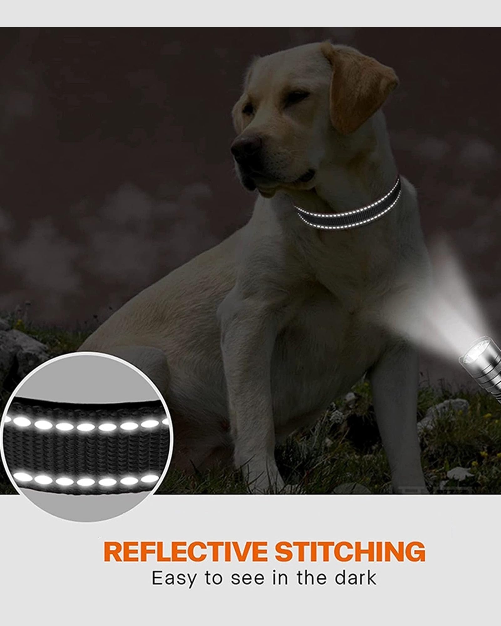 Aeclleca Reflective Dog Collar and Leash Set with Safety Locking Buckle，Adjustable Soft Nylon Pet Collars for Small Medium Dogs (Black, S)