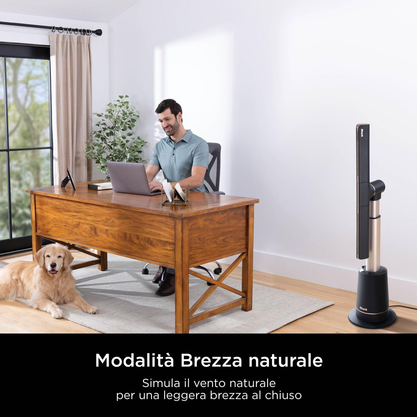 Shark TurboBlade Ventilateur colonne sans pale, Rafraîchissement multidirectionnel à haute vitesse jusqu’à 20 mètres, Discret, 10 vitesses, 180°, Facile à nettoyer, Ventilateur Carbone TF200SEU