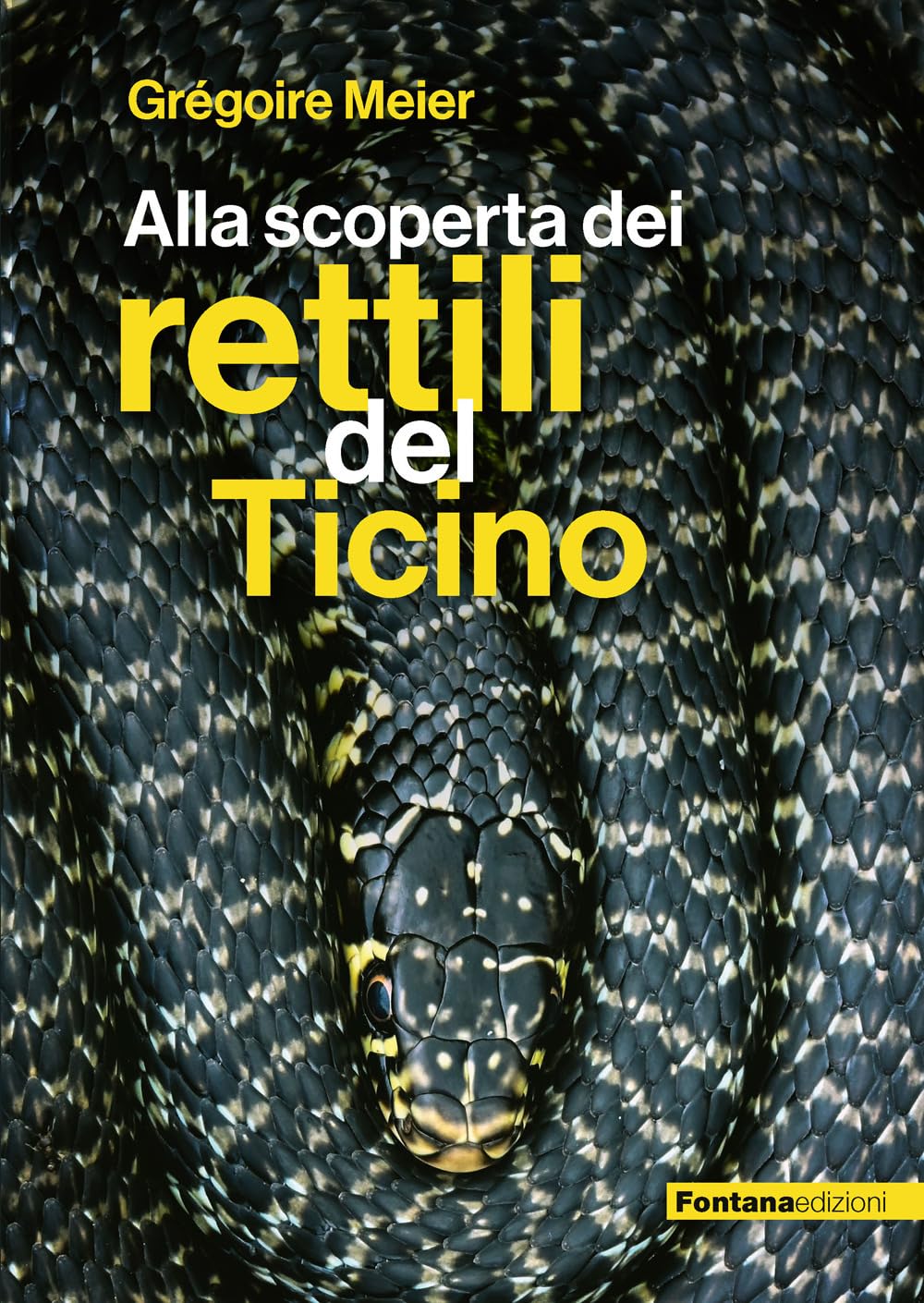 Alla Scoperta Dei Rettili Del Ticino - 4