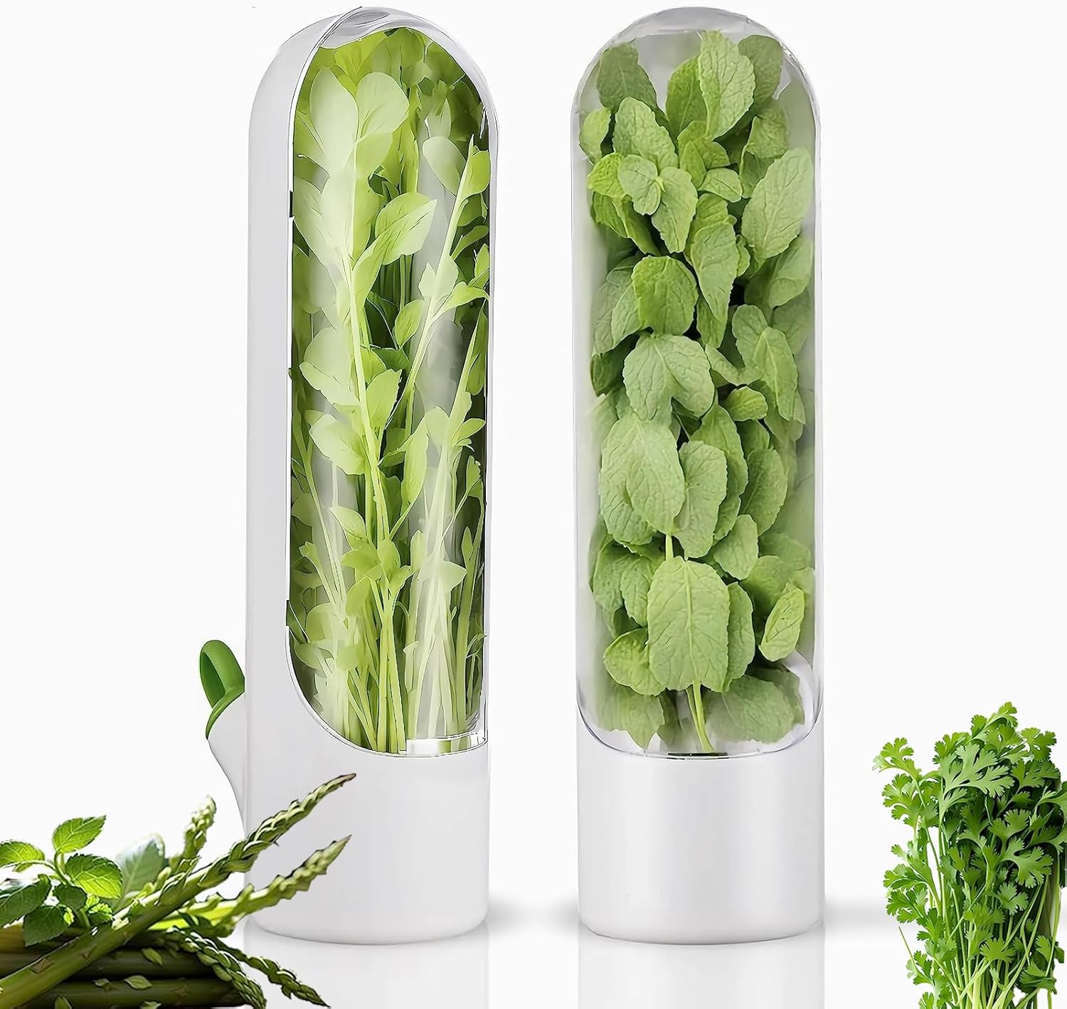 Herb Saver for Refrigerator, asparagus container for fridge