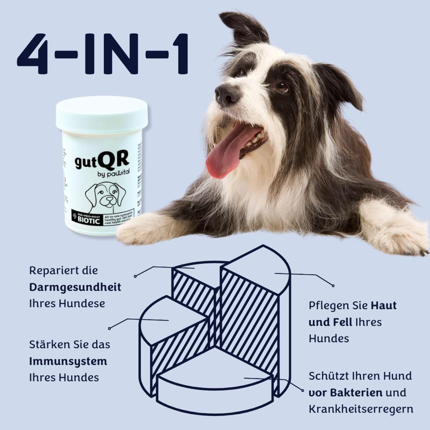 gutQR | Advanced Gut Health Supplement für Hunde | Klinisch erprobte Präbiotika, Probiotika, Postbiotika | Unterstützt Verdauung, Immunität & Hautgesundheit | Darmpulver (180 Messlöffel)