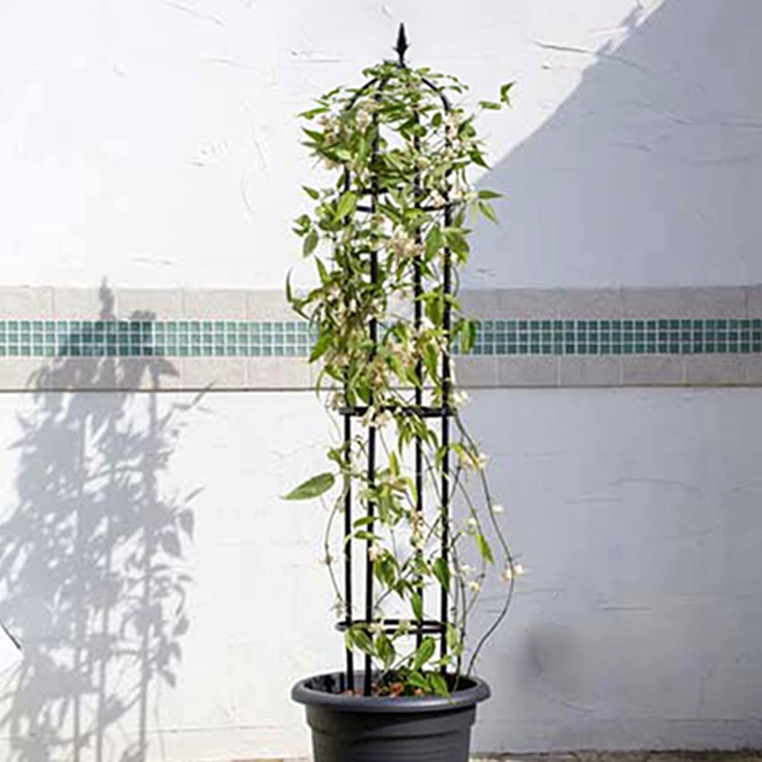 4 stuks metalen klimhulp voor kamerplanten en tuinplanten in het zwart