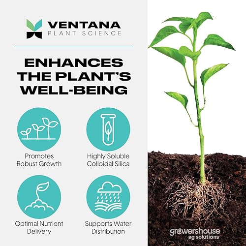 Miniatura 2 de Suplemento de sílice de estructura VPS (1 galón)