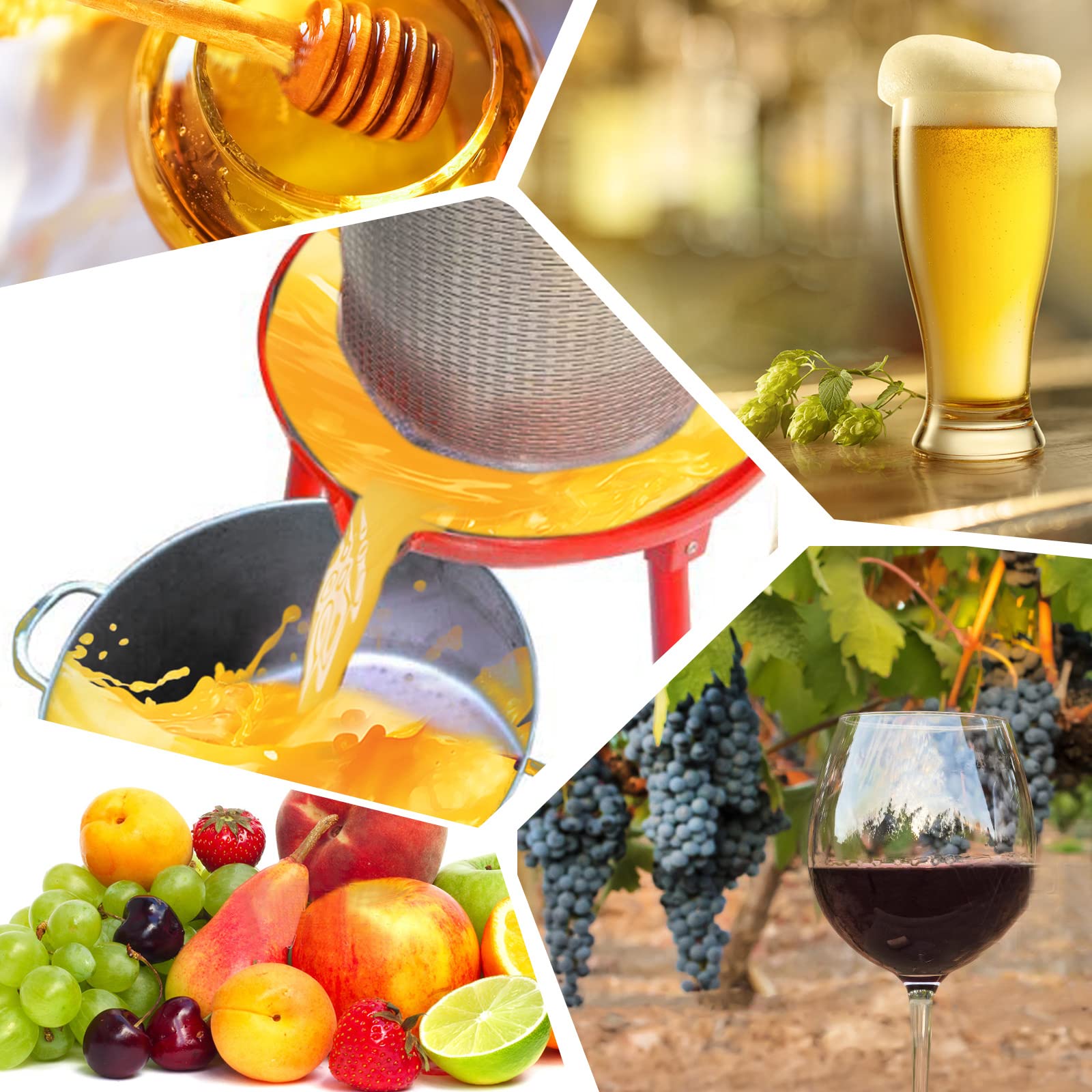 Hydraulic Fruit Wine Press with 5.3 Gallon Capacity, Apple Grape Wine Cider Crusher for Home, Orchard, Saving Time and Energy, Stainless Steel, Red