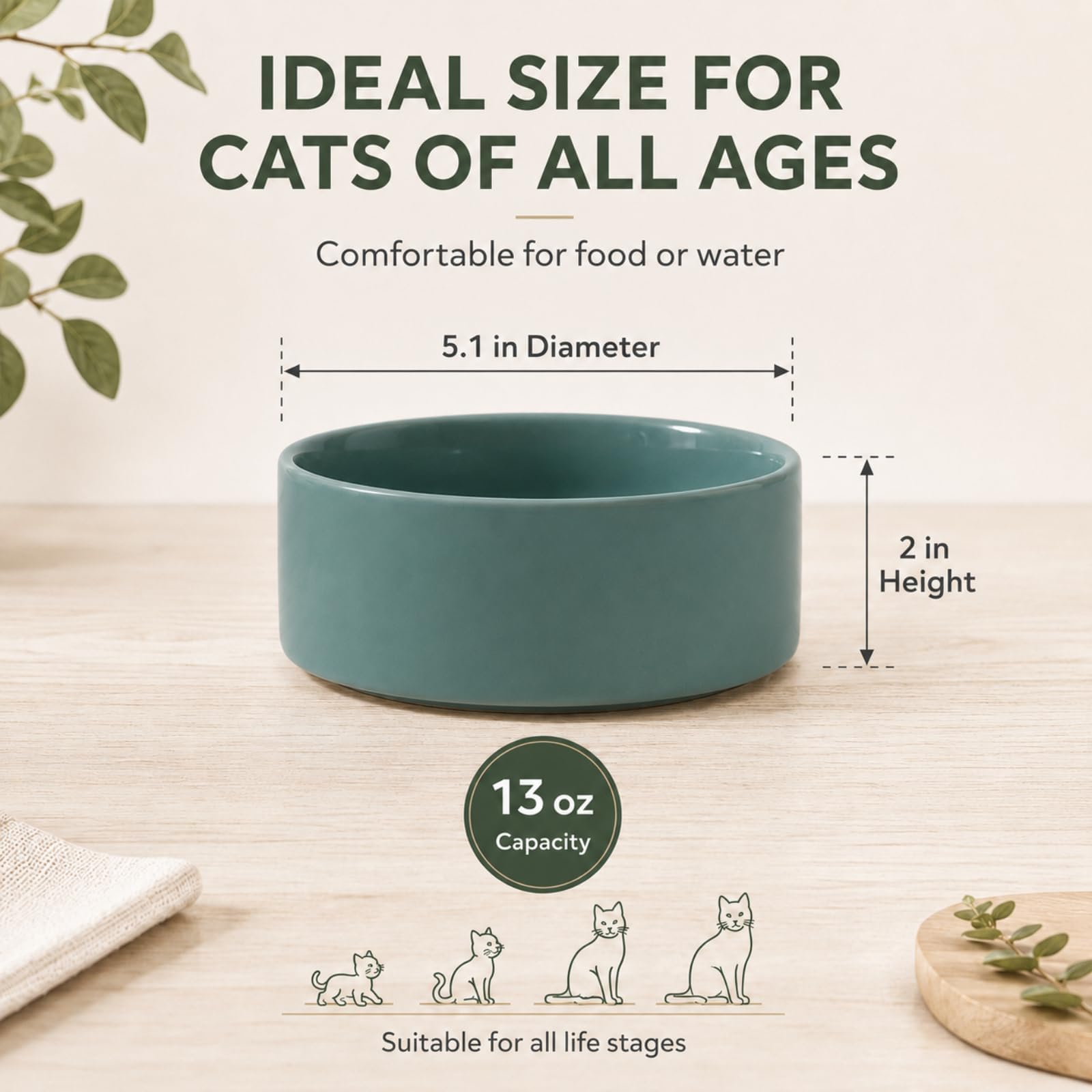 Havniva Set di due ciotole per gatti in ceramica, da 13 cm, per cibo e acqua per gatti adatti ai baffi, ciotole per alimenti per animali domestici per gatti interni, ampia ciotola per acqua per gatti