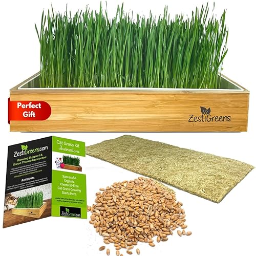 Self-Watering Cat Grass Kit. Hands Down The Easiest Way to Grow Cat Grass. Includes Everything for a Big, Healthy Crop. - Self Watering Cat Grass Kit