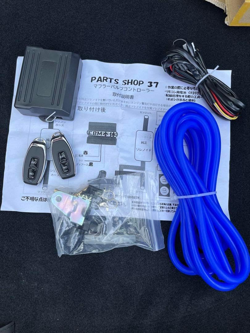 ブラヘアアルマータ 極太株 幹幅11センチ