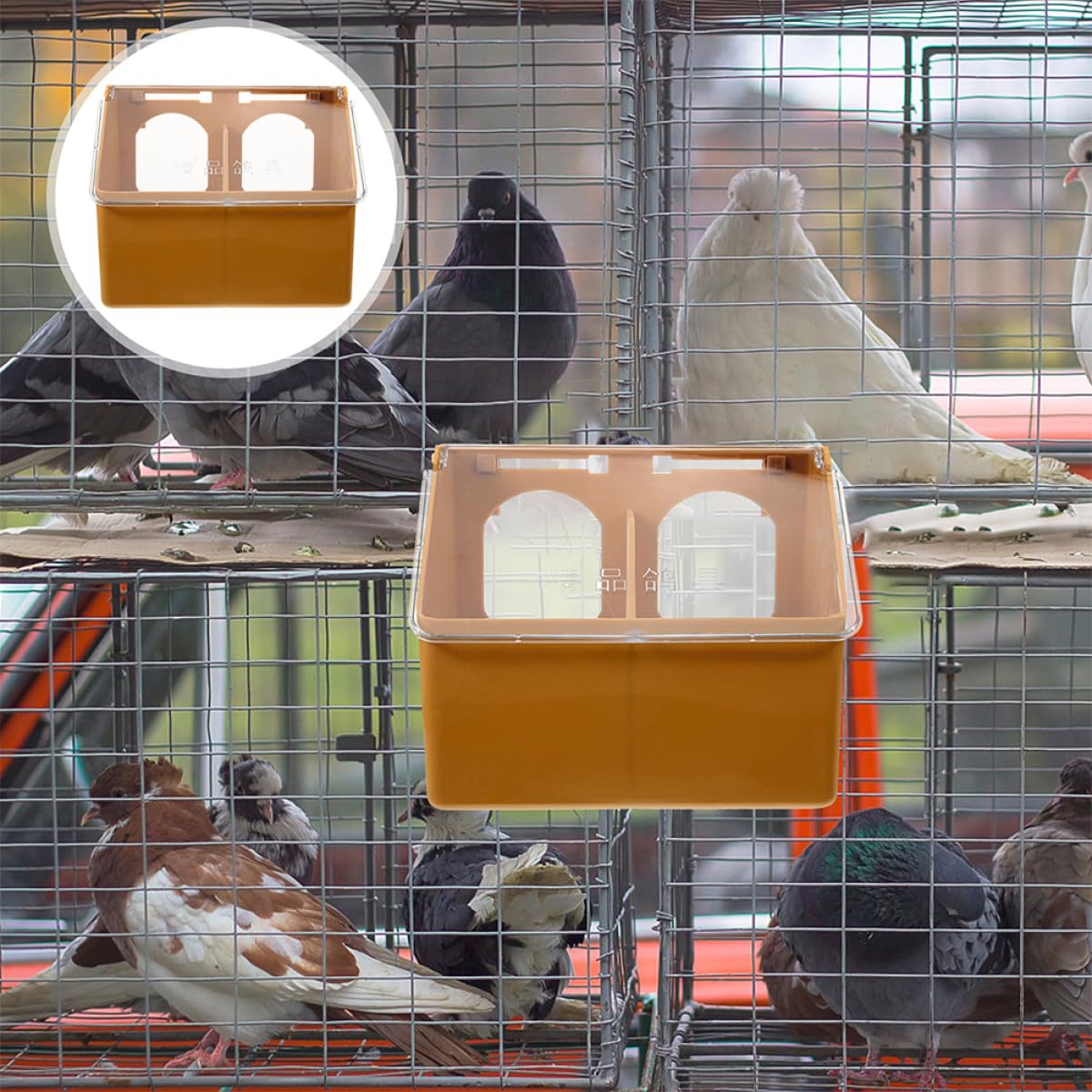 Lot de 3 Mangeoires Suspendues pour Cage à Oiseaux, Plastique Solide, Compartimentées à Deux Trous, Couleur Marron, Grosse Capacité, Distributeur de Nourriture pour Perruches