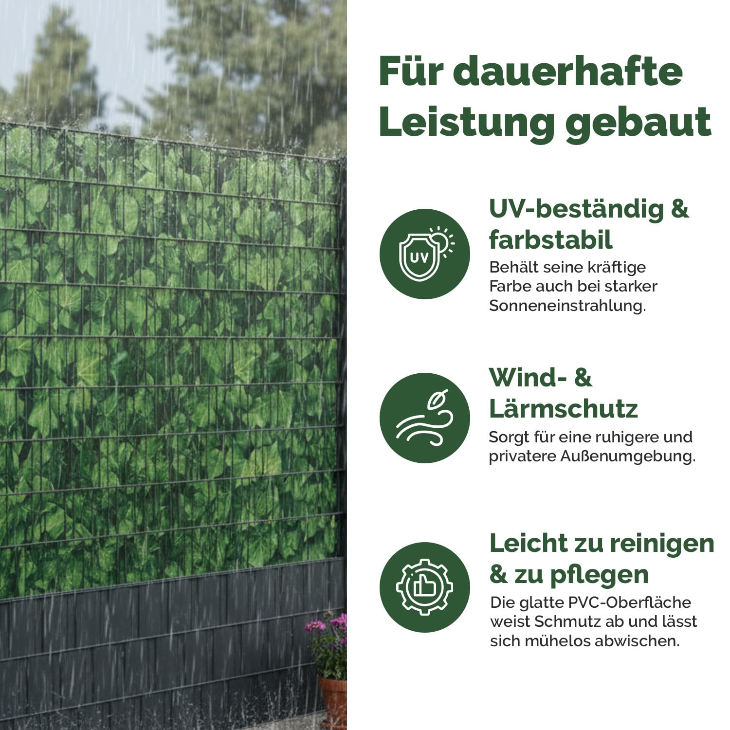bambushecke fargesia murielae Bambushecke main image 0