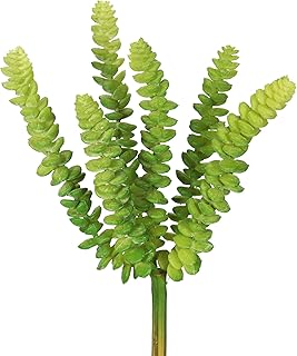 Vickerman Everyday 10