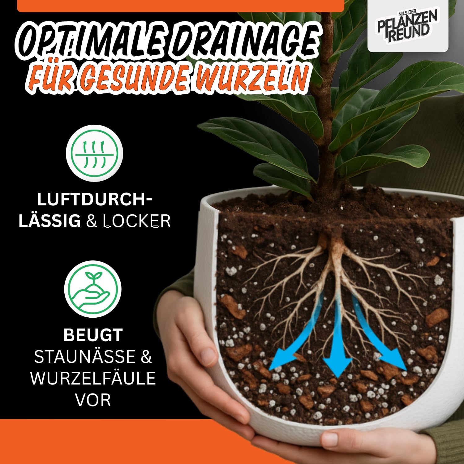 Tierra para Cactus y Suculentas (100 L) – Sustrato Mineral nutritivo con Drenaje óptimo para raíces sanas