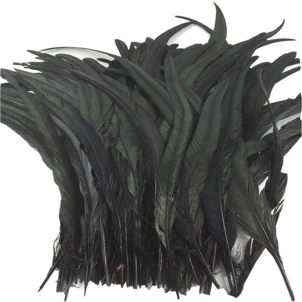 CENFRY Nature Rooster Coque Tails Feathers Costume Craft Decoration 12-14inch Pack of 50 (Black)