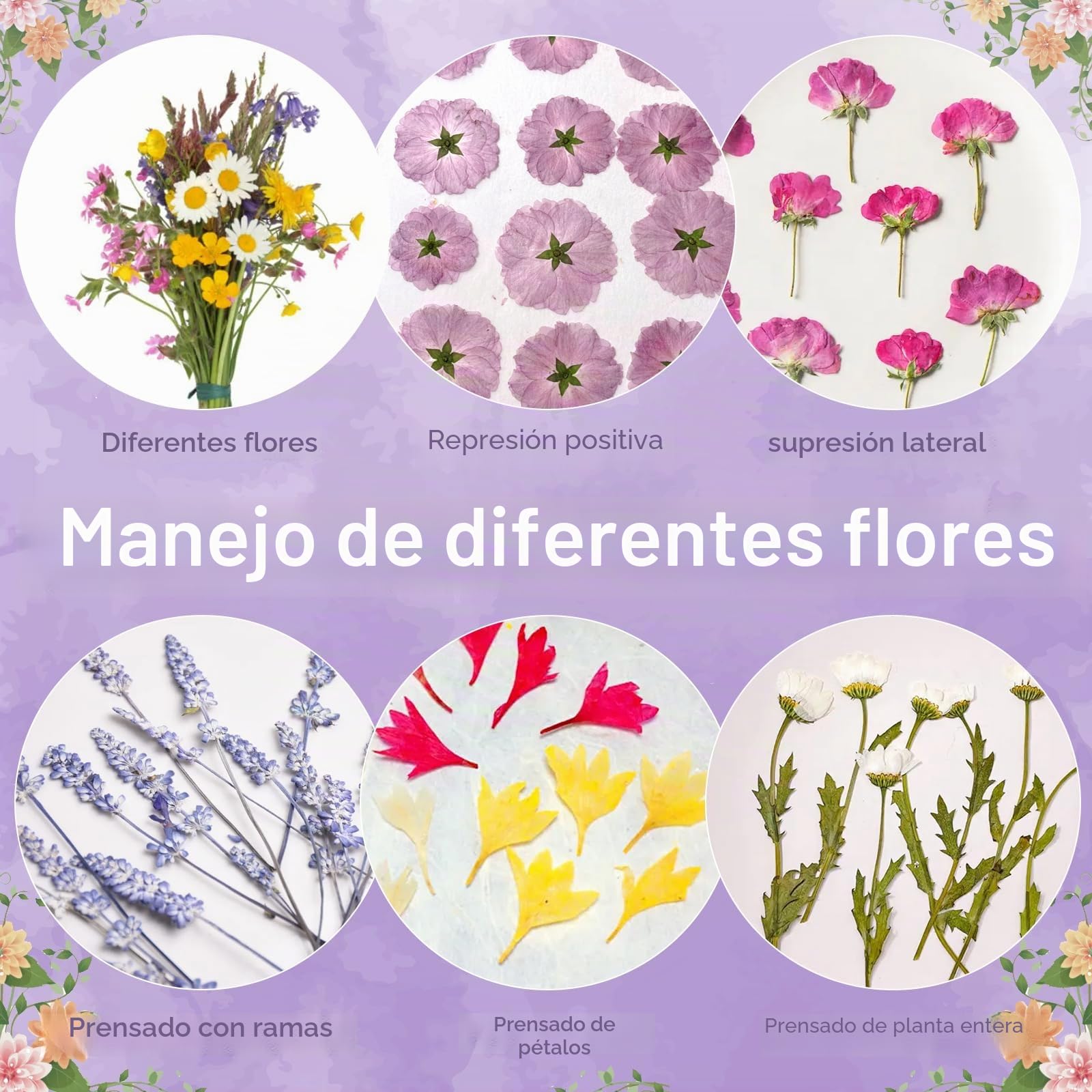 Suziko Gran Kit de Prensa de Flores para Adultos y Niños - Mide 27.5 x 17.8 cm, Ideal para Artesanía y Manualidades para Adultos, Prensa de Hojas y Flores - Un Fantástico Regalo para los Amantes
