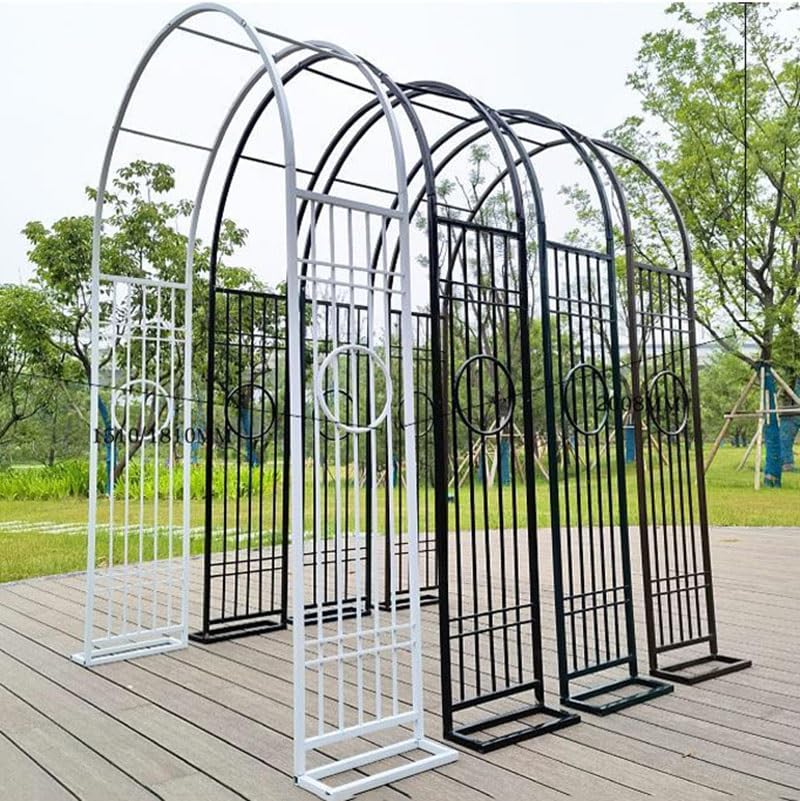 Treillis métallique robuste de haute qualité pour arche paysagère - 3