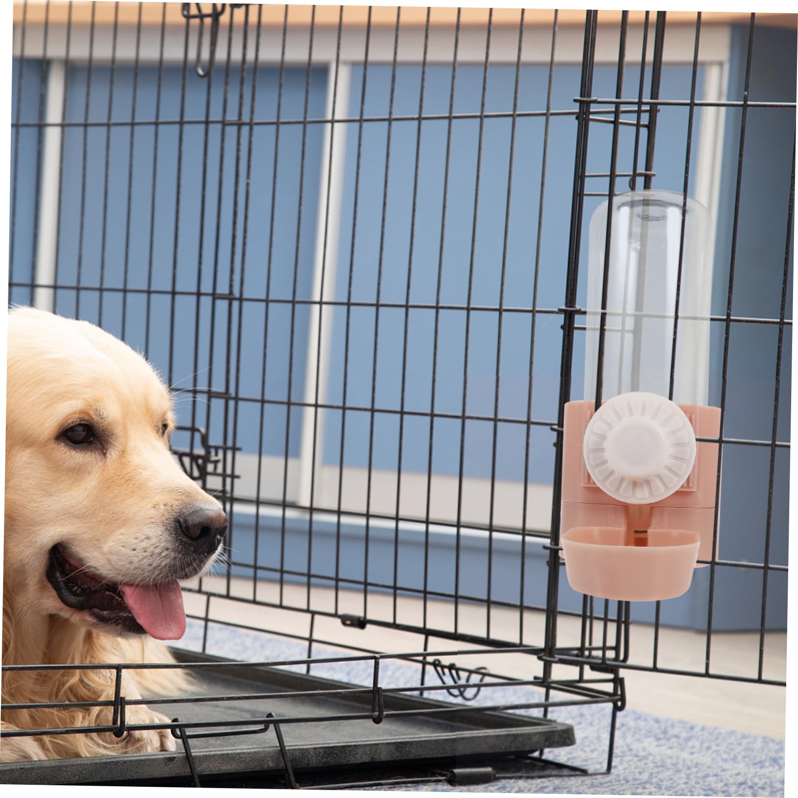 Angoily 3pezzi Distributore per Animali Domestici Bottiglia Portatile per Cani e Gatti Abbeveratoio da Appeso per Gabbie Design Trasparente e Compatto Facile da Pulire e Utilizzare per