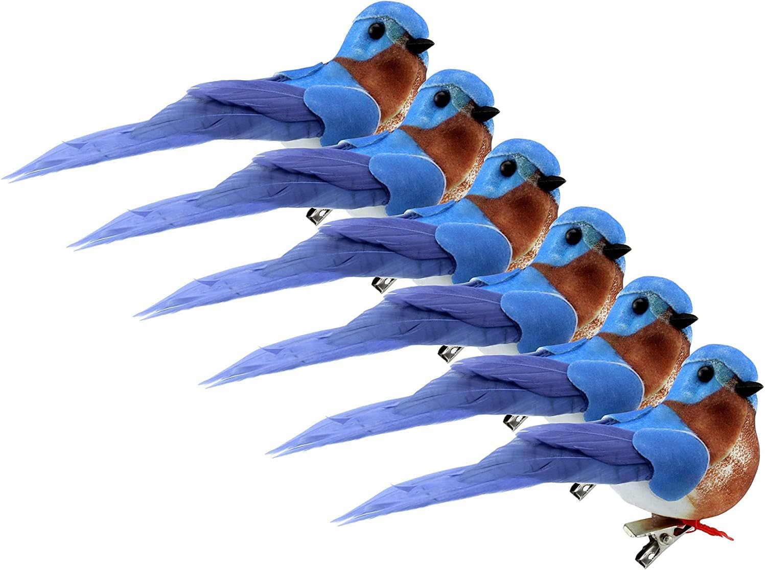 Cornucopia Brands Bluebirds