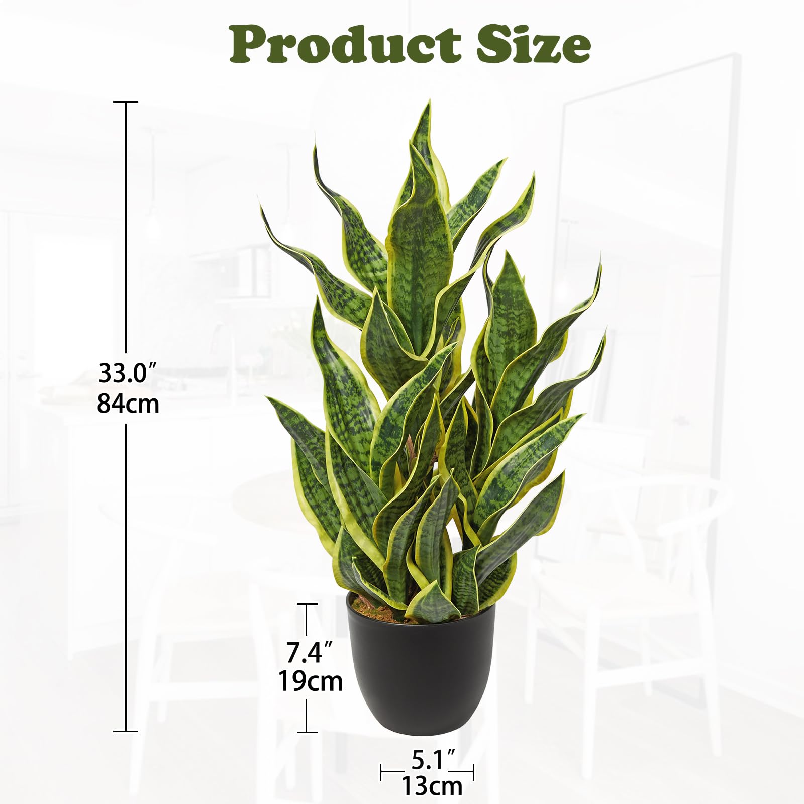 bonsai tree grow light Indoor Bonsai - How to Grow Ficus bonsai main image 1