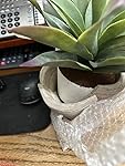 Review Image by Amazon Customer Amazon Customer
