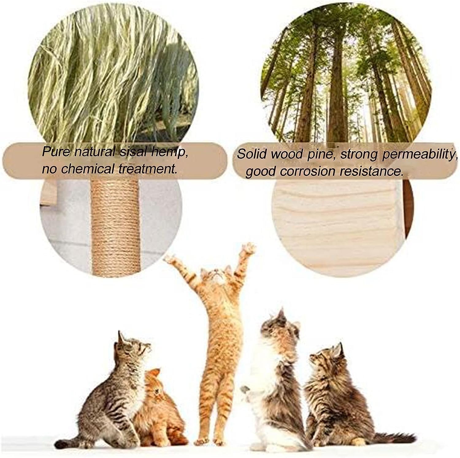 Amazon.co.jp: キャットタワー キャットラダーステップペット猫の壁