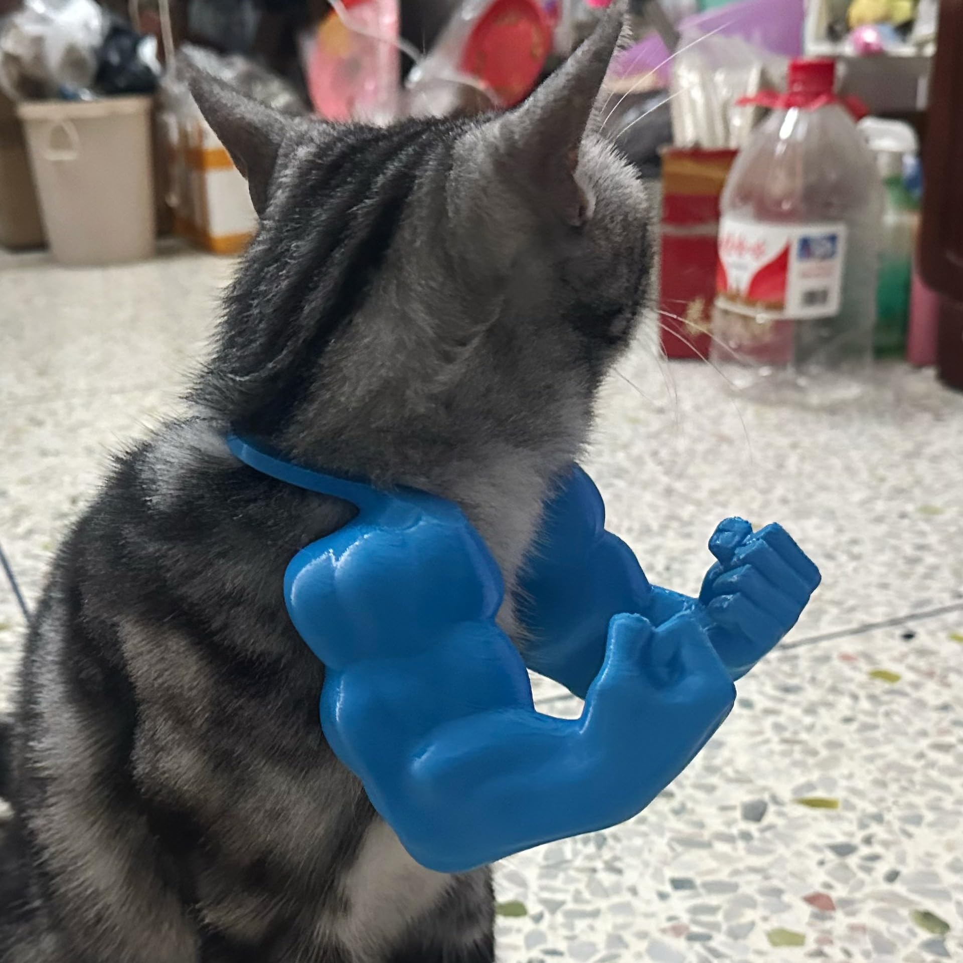 Cat Muscle Arms, Cat Collar, Kitten Supplies, Adjustable Lightweight Design, for Pet Dress-Up, Cosplay, Parties & Photos, Funny Halloween Cats Costume (Black)