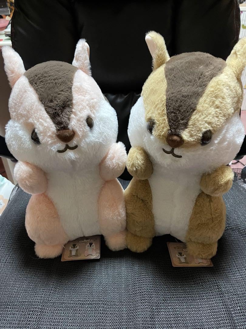 Amazon.co.jp: くりくりおちゃめリスbigぬいぐるみ ベリちゃん キャ