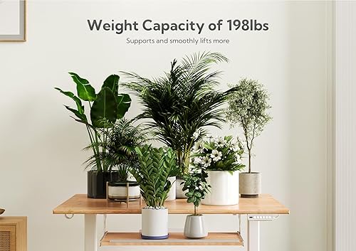 Miniatura 7 de Escritorio eléctrico de bambú de pie, escritorio ajustable de 48 x 24 pulgadas con bandeja para teclado, escritorio de oficina en casa con tablero