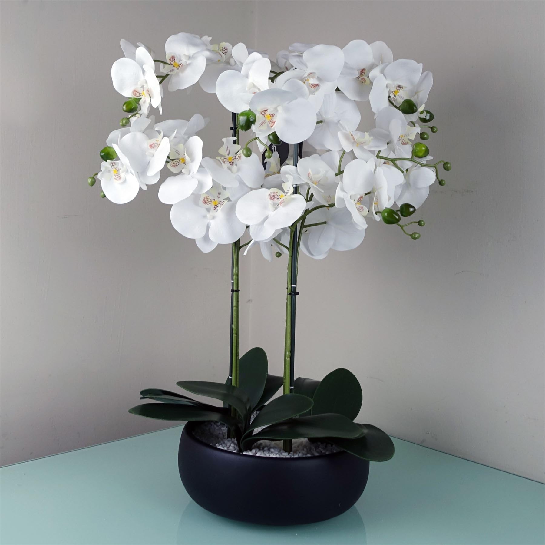 Leaf Design UK Realistic Artificial Orchid Flower Display in Pot โ image 1