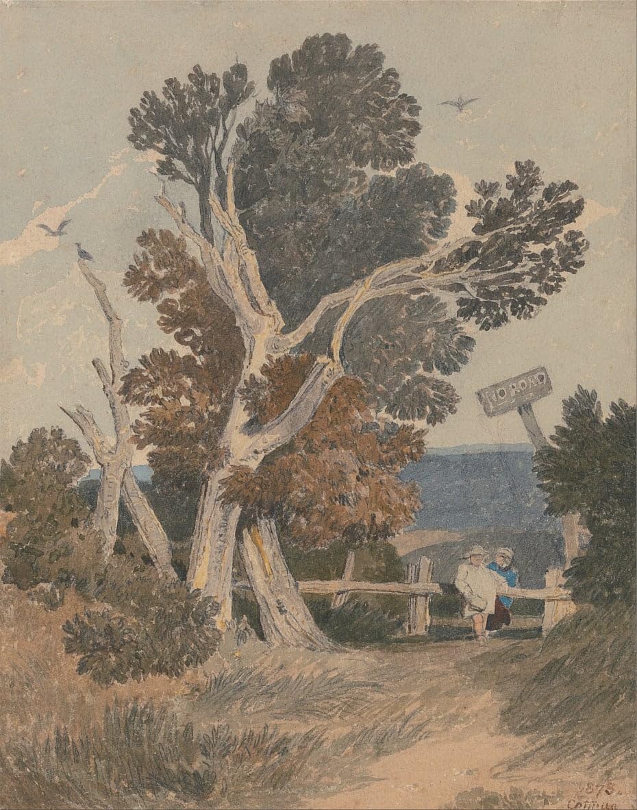 Affiche toile Un groupe d'arbres par Sell Cotman 60x90cm