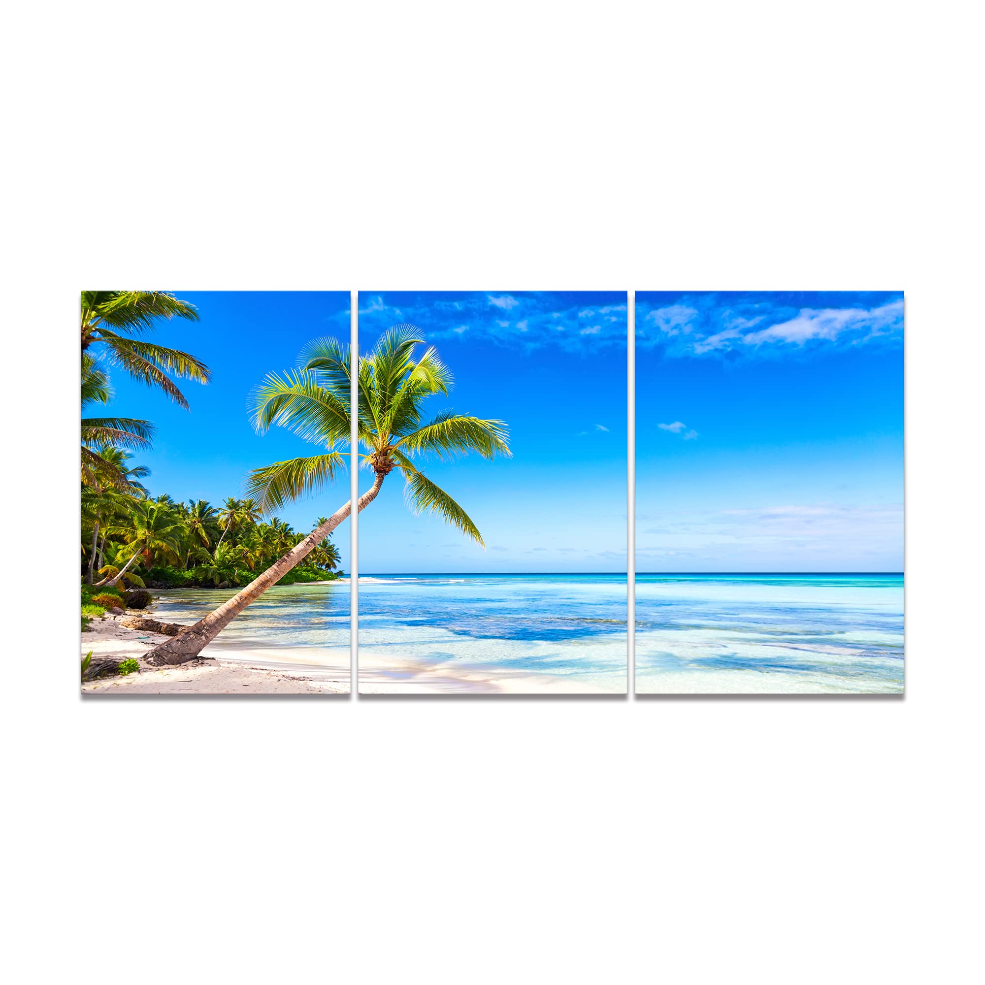 Amazon.co.jp: アートパネル 3枚 海 ココナッツ壁の絵 ポスター 海の絵