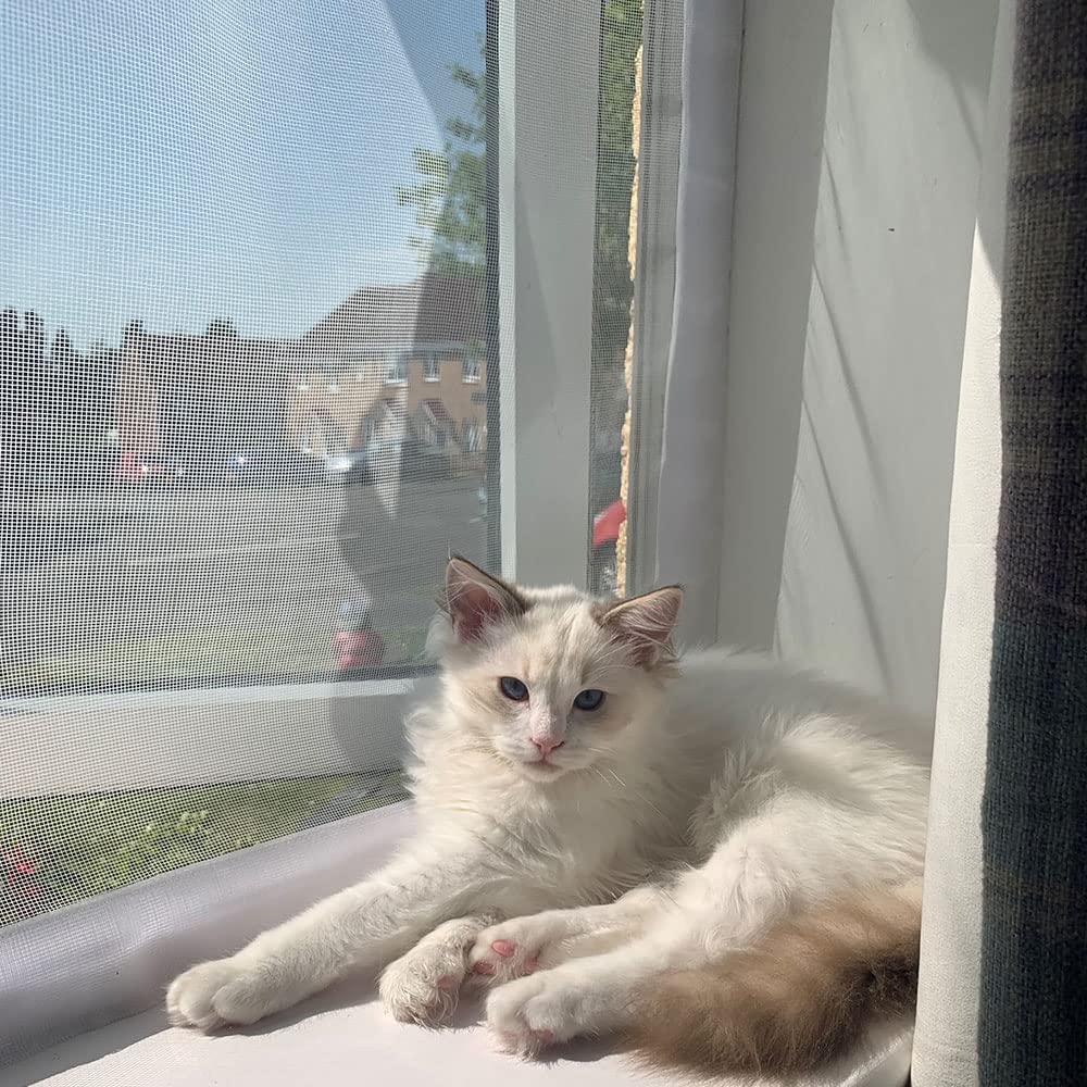 Save 50% - MYPIN Self Adhesive Cat Window Guard Screen Mesh