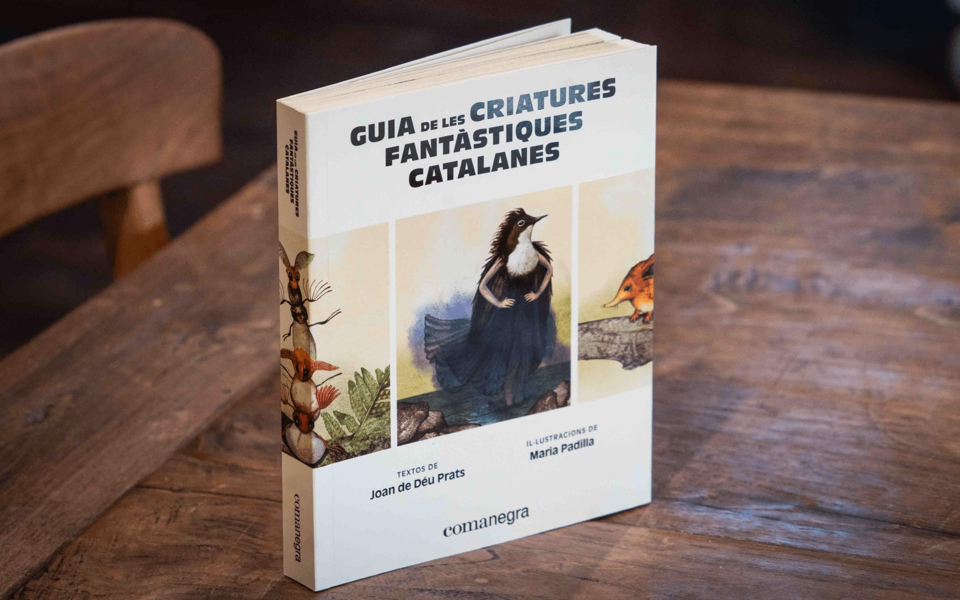 Guia de les criatures fantàstiques catalanes (Catalunya fantàstica)